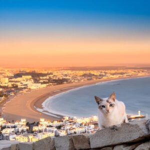 Agadir Day Trip 06_zentra_tours