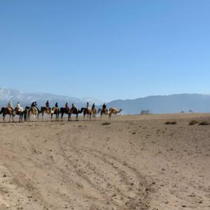 Agafay Desert Sunset Camel Ride 05_zentra_tours