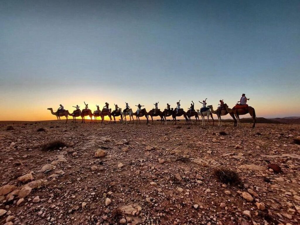Agafay Desert Sunset Camel Ride
