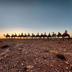Agafay Desert Sunset Camel Ride