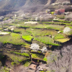 Image03_zentra_tours