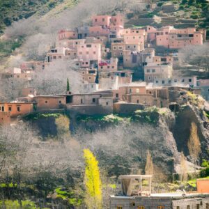 Image11_zentra_tours