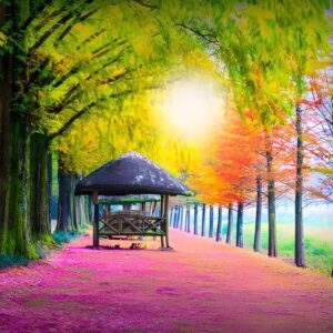 Nami Island Tour from Seoul_01_zentra_tours