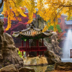 Nami Island Tour from Seoul