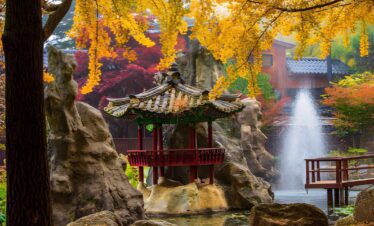 Nami Island Tour from Seoul
