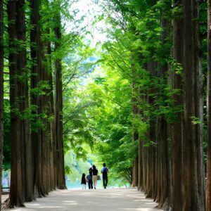 Nami Island Tour from Seoul_03_zentra_tours