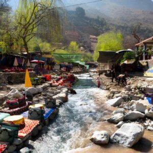 Ourika Valley Day Trip