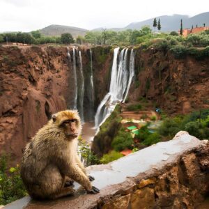 Ouzoud Falls Day Trip 05_zentra_tours