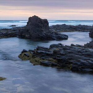 Phillip Island_08_zentra_tours