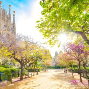 Sagrada Familia Guided Tour_05_zentra_tours