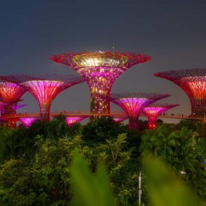 Singapore City Tour_03_zentra_tours