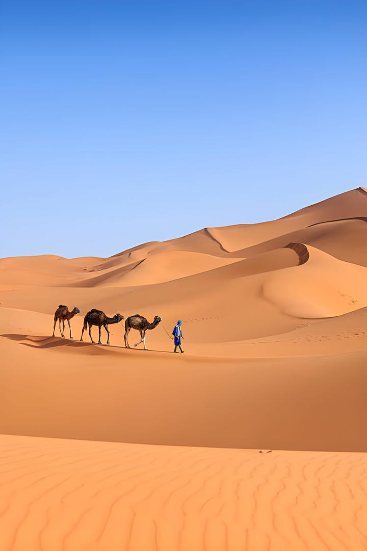 merzouga_zentra_tours