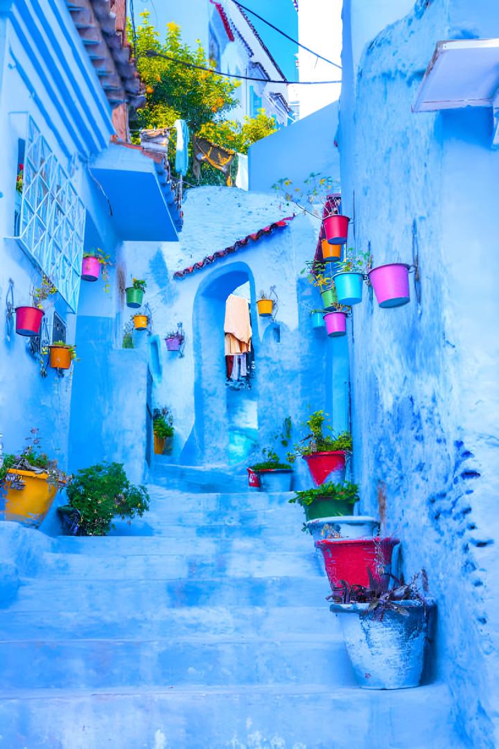 steptodown.com755861_zentra_tours