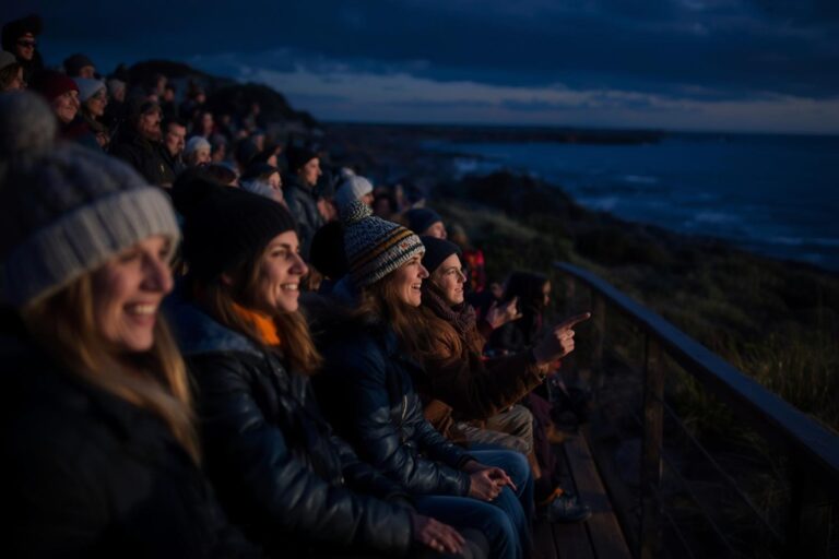 Avoid these Phillip Island mistakes