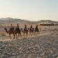 Agafay Desert Camel Ride